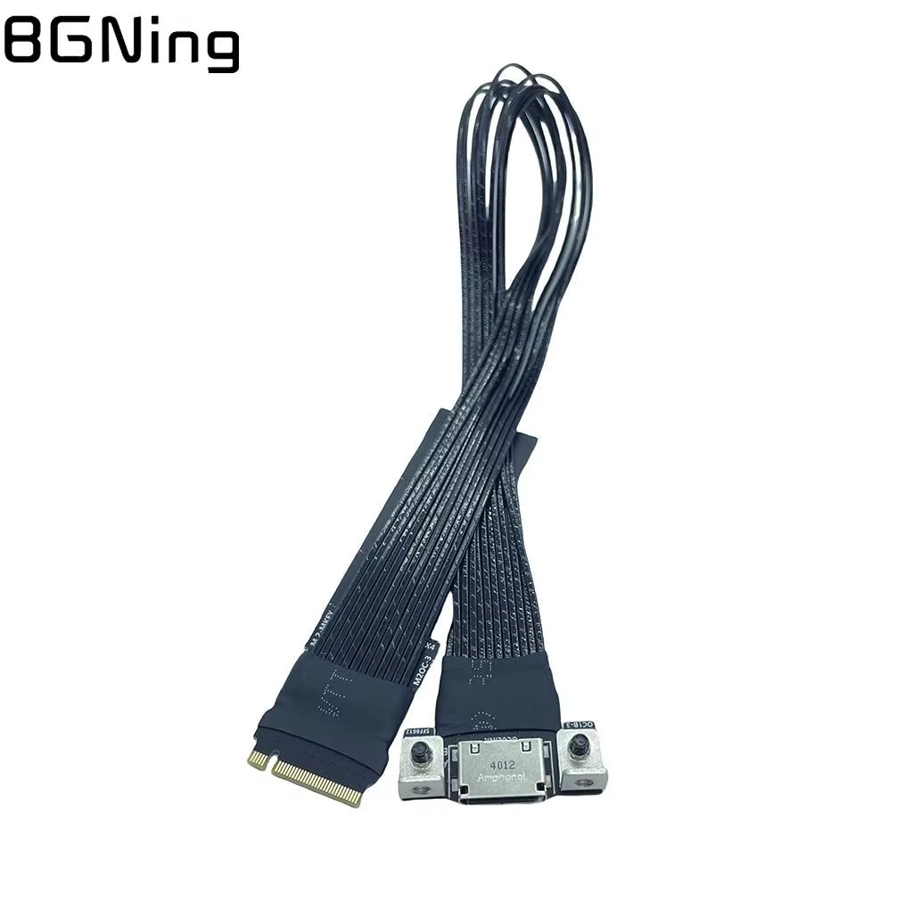 M.2 Mキー NVMe - OCuLink SFF8611 - Oculink Gpu Dock Station のレビューと価格